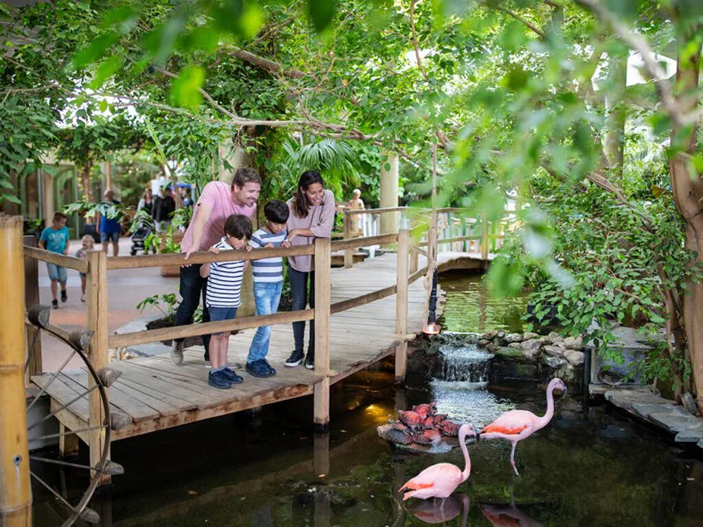 Center Parcs Port Zélande